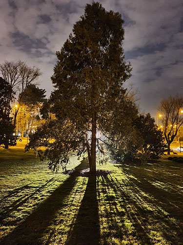 Carlos Arroba Díaz Carlos Arroba Díaz